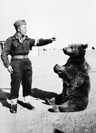 O urso que virou CABO do exército polonês